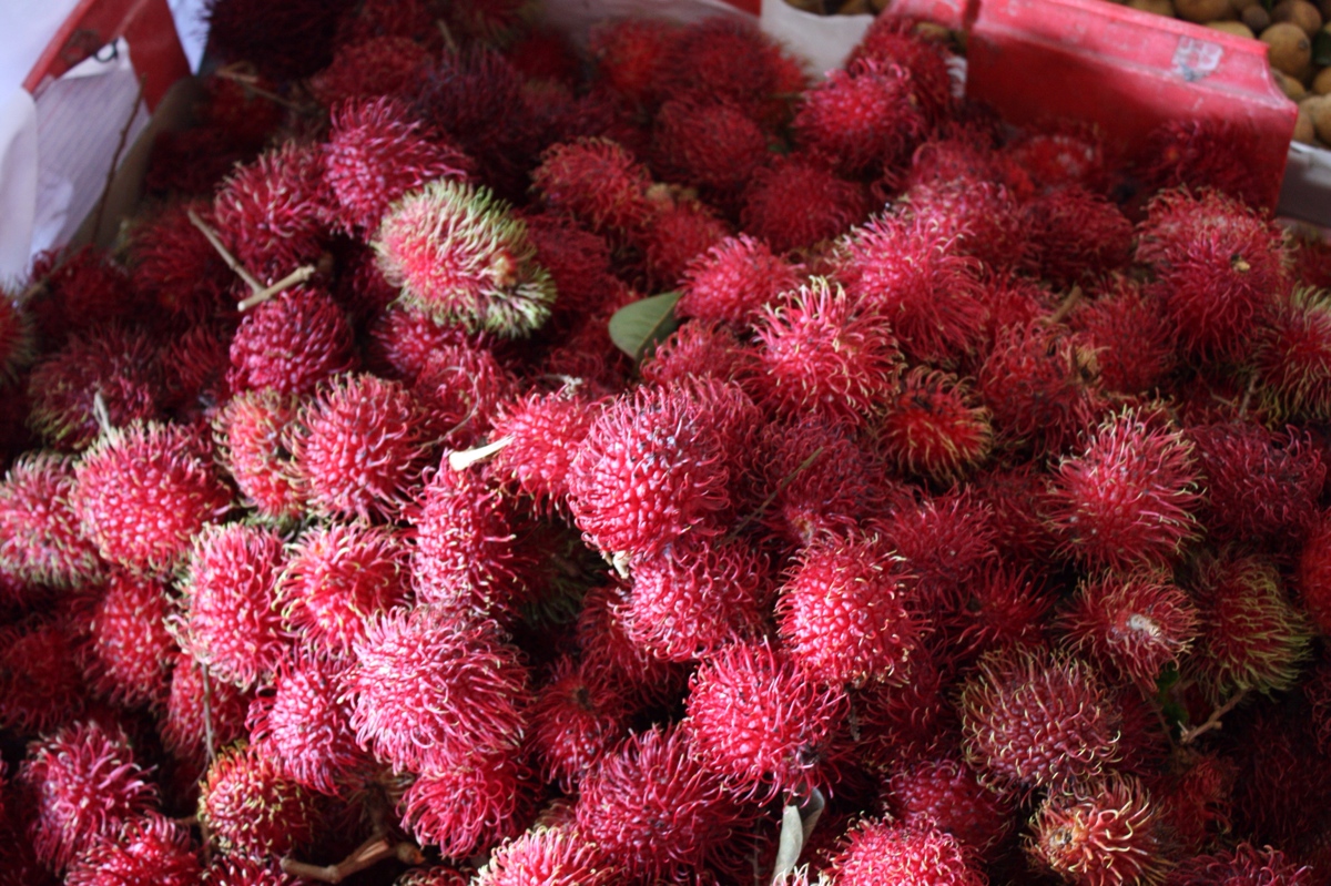 Rambutan