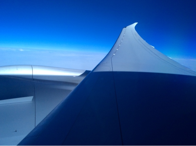 787 Wing