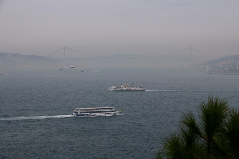 Bridge over the straits