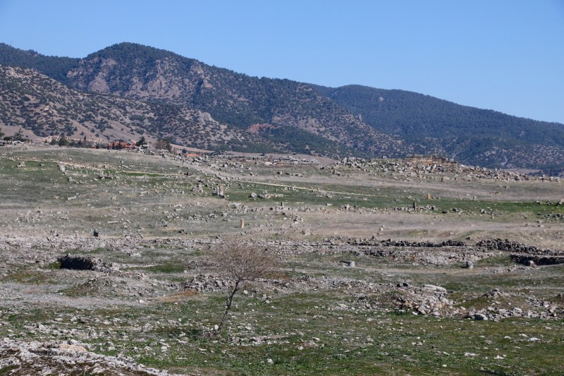 Landscape of strewn boulders