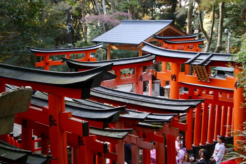 Different view of torii