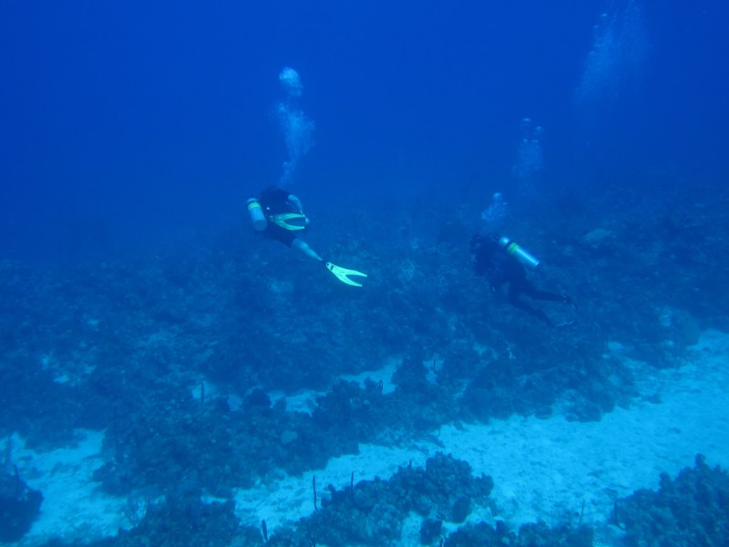 R and K diving