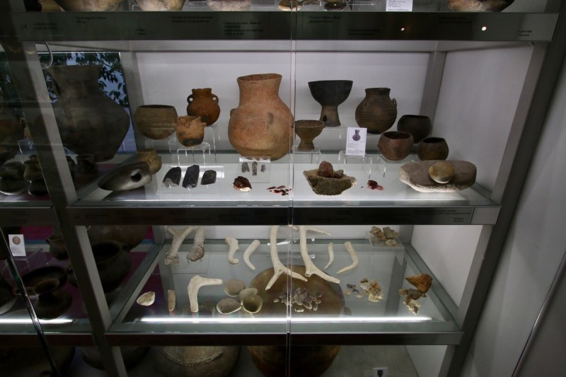 Paleolithic and bronze age